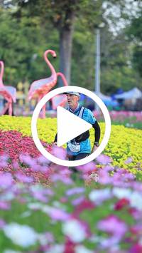 BIB:  <button type="button" onclick="openModal(27583134)" class="btn btn-primary btn-sm float-right" data-toggle="modal" data-target=".modal-high-quality">
                <i class="fa fa-download"></i> Download
                </button>